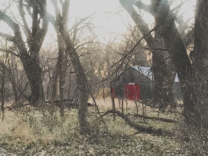 Harbine Park Campground Picture 6