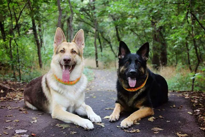 Lincoln Park Campground Picture 1