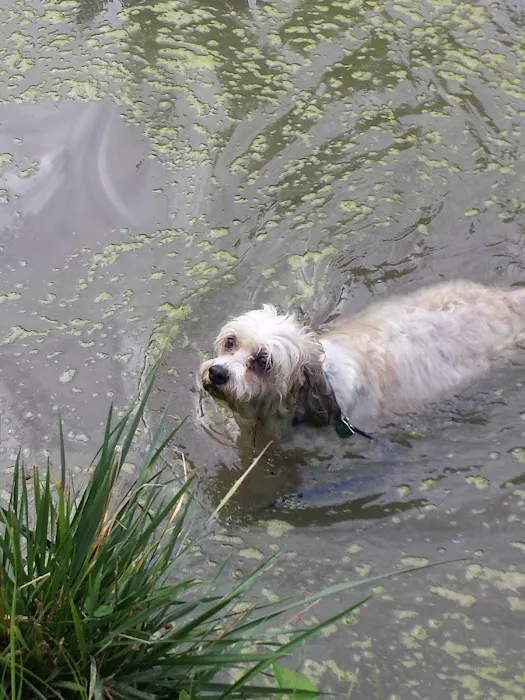 Lincoln Park Campground Picture 9
