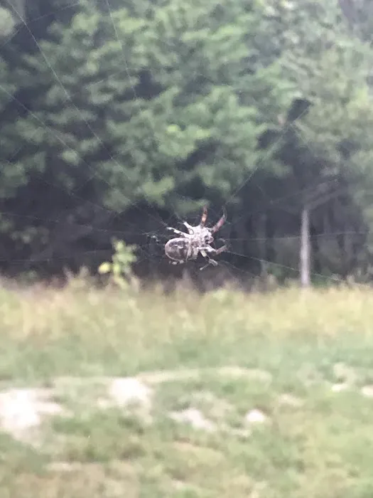 Broken Arrow Ranch Picture 3