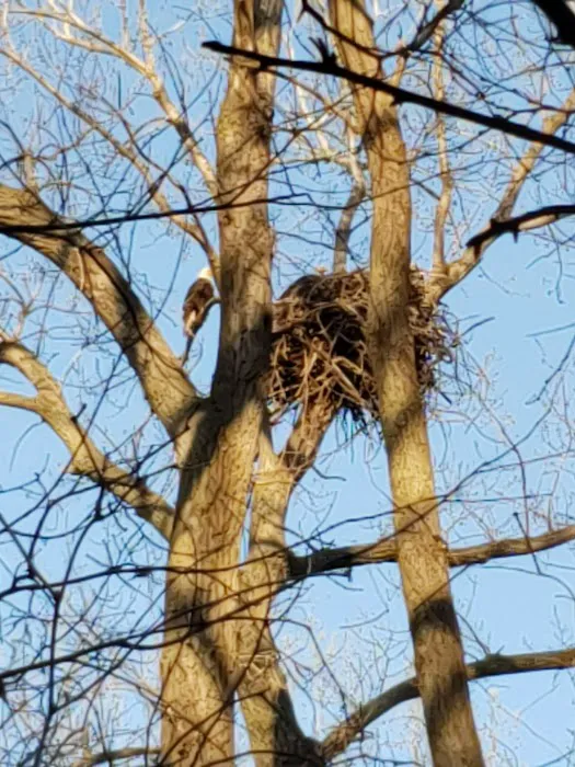 Rocky Ford Campground Picture 4
