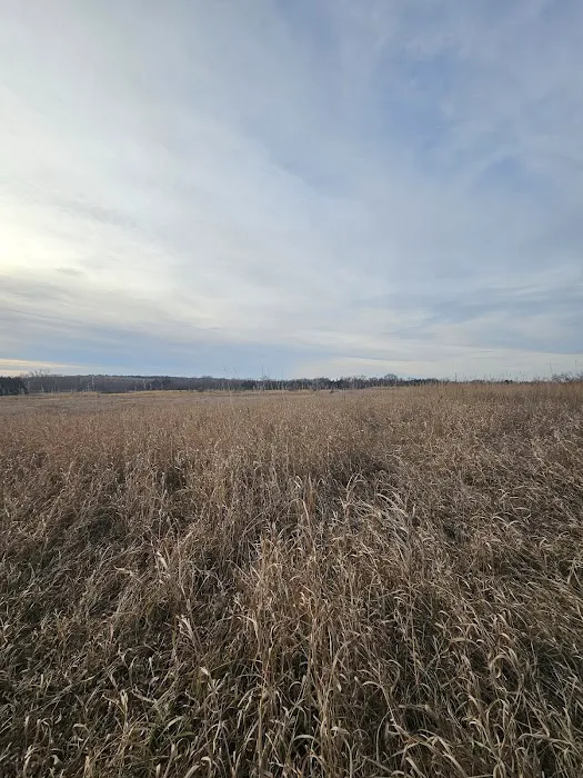 Pressey Park Picture 8