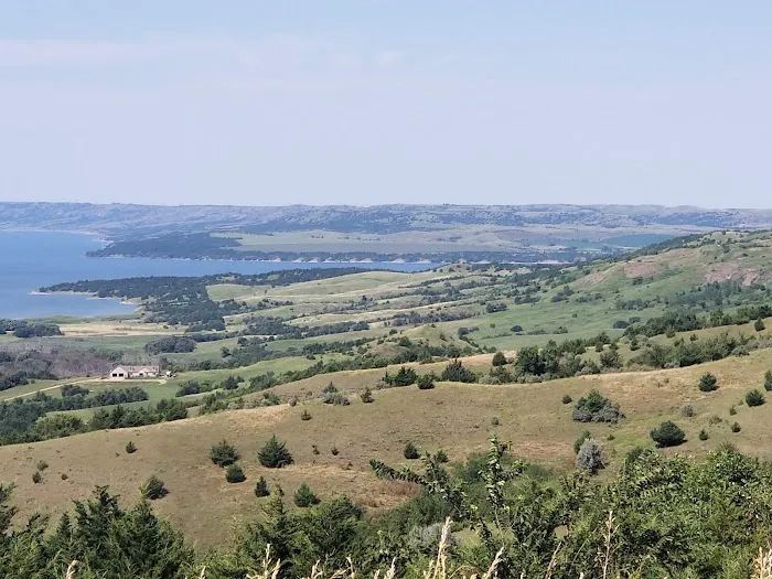 Hillbilly Haven Picture 3