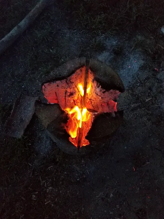 Hillbilly Haven Picture 4