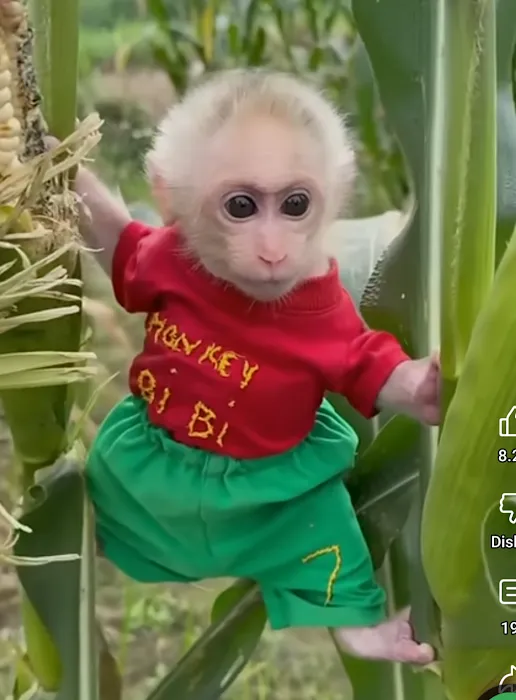 Hillbilly Haven Picture 9