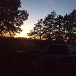 Shady Cedar Campground