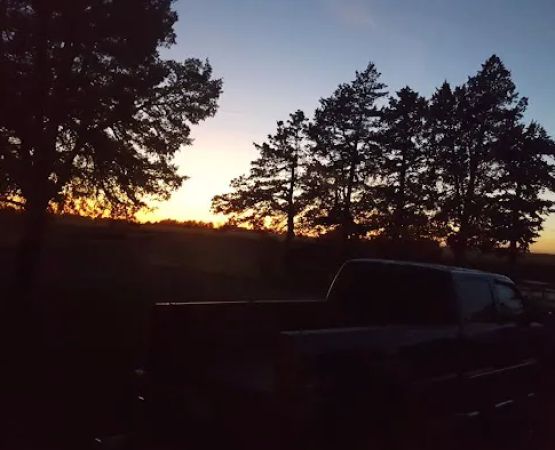 Shady Cedar Campground