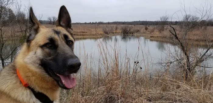LBJ Grasslands Picture 6