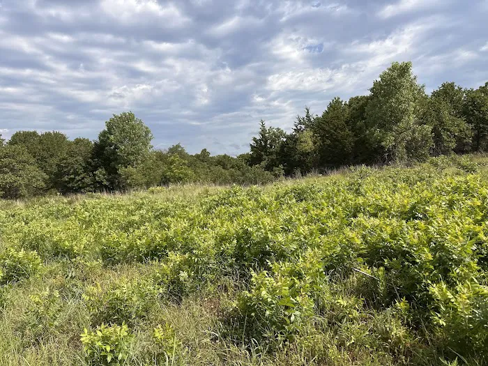 LBJ Grasslands Picture 7