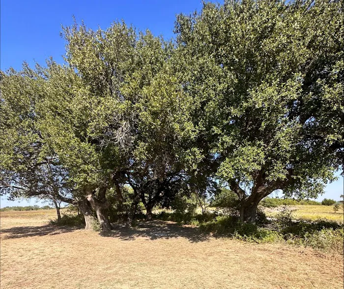 LBJ Grasslands Picture 9