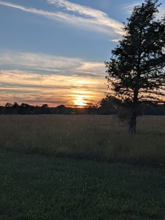 Outlet Park Youth Camping Area Picture 3