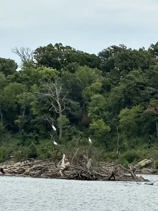 Carbolyn Park Campground Picture 2