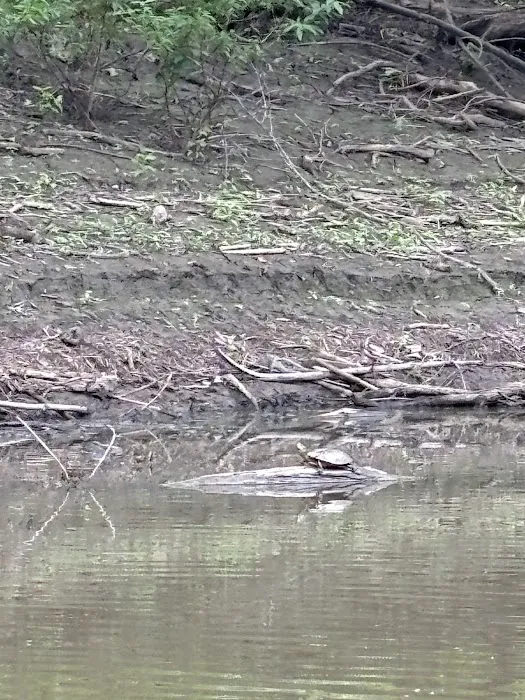 Carbolyn Park Campground Picture 8