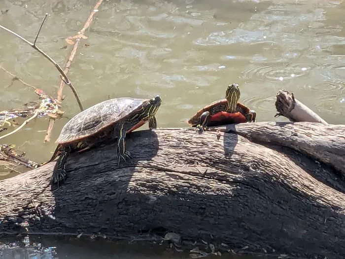 Carbolyn Park Campground Picture 1