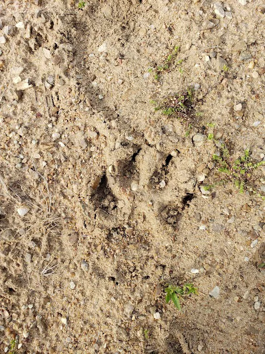 Burning Heart Campground Picture 9