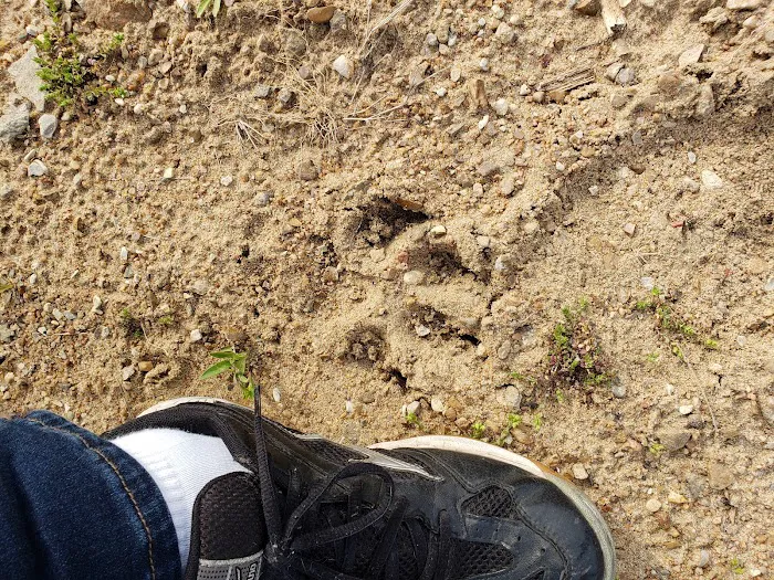 Burning Heart Campground Picture 7