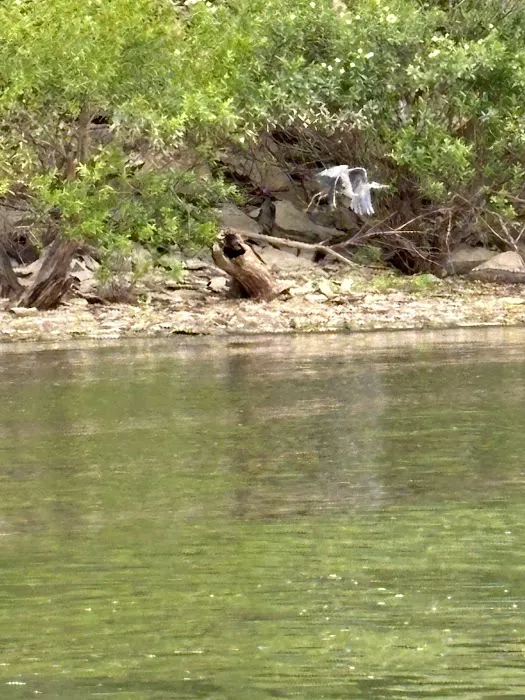 OUTLET (POMONA LAKE) (recgovnpsdata) Picture 8