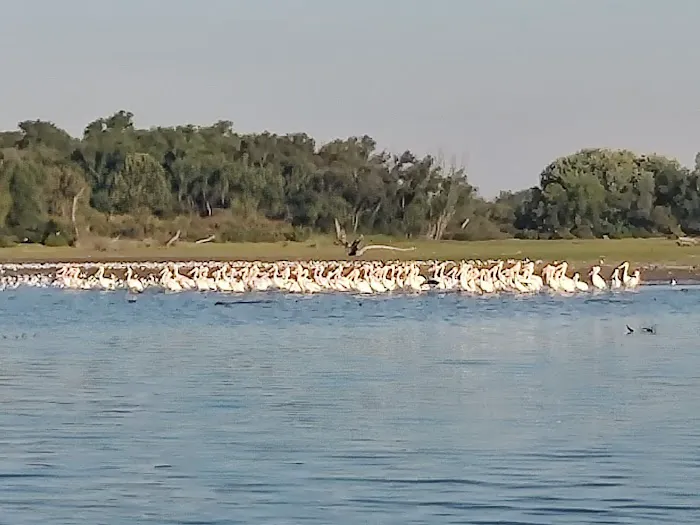 Cedar Park Campground Picture 6