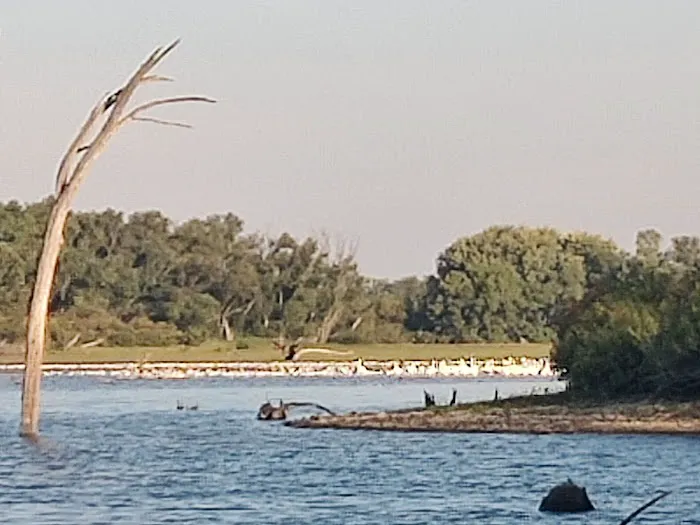 Cedar Park Campground Picture 10