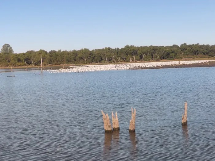 Cedar Park Campground Picture 4