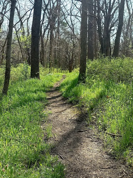 Big Bull Creek Youth Campground Picture 3