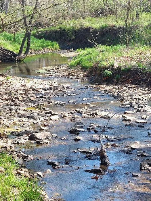 Big Bull Creek Youth Campground Picture 6