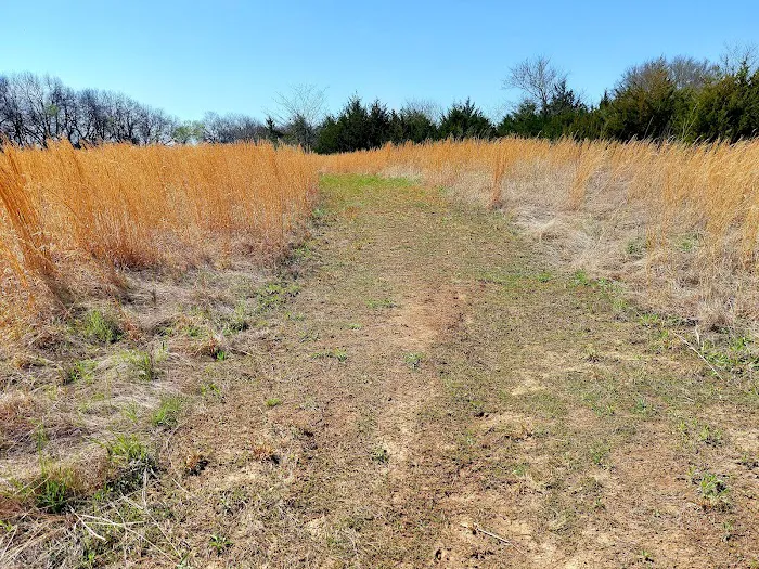 Big Bull Creek Youth Campground Picture 5