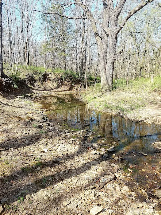 Big Bull Creek Youth Campground Picture 9