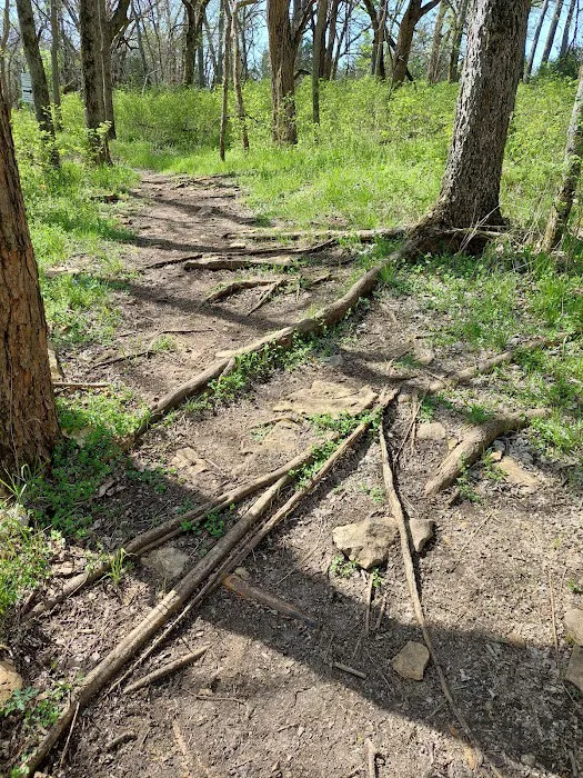 Big Bull Creek Youth Campground Picture 10