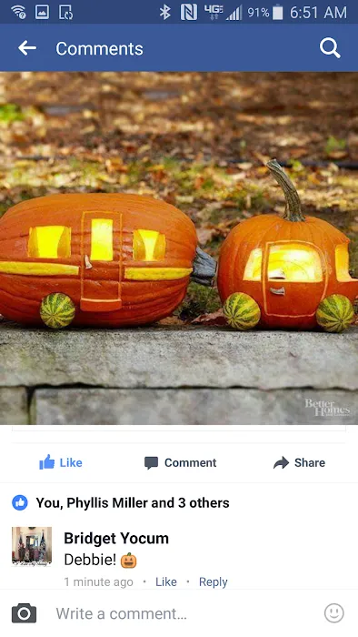 Show-Me Rest Rv Park Picture 3