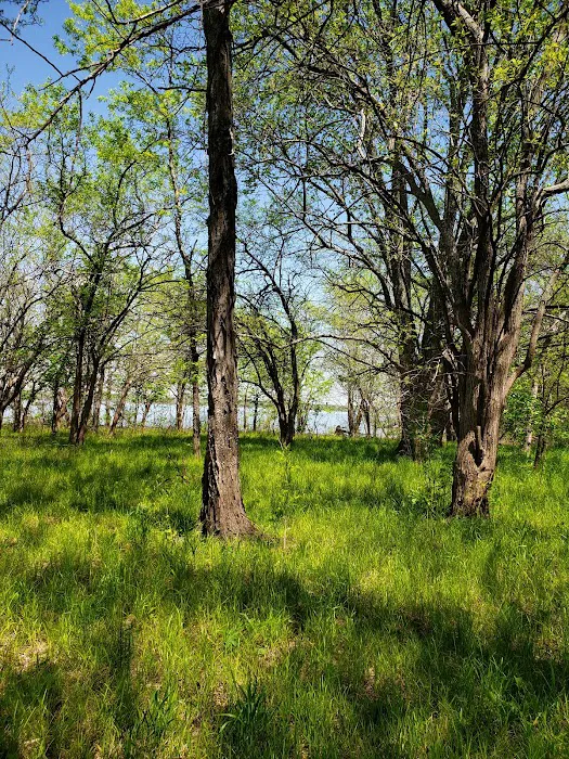 Crappie Cove Campground Picture 3