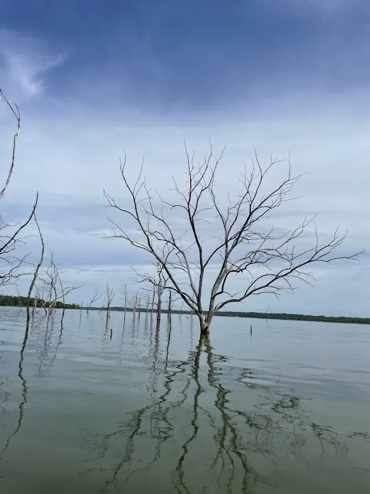 Quail run campground Picture 1