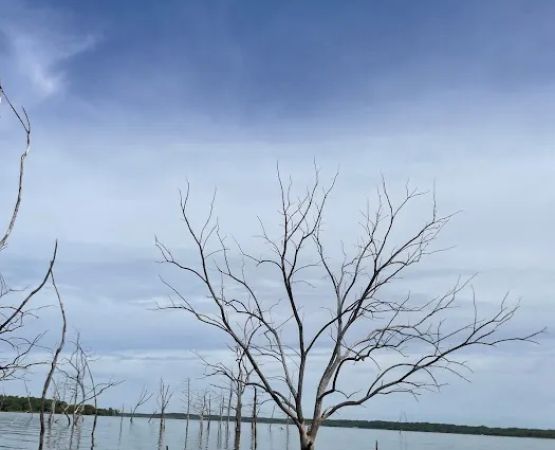 Quail run campground