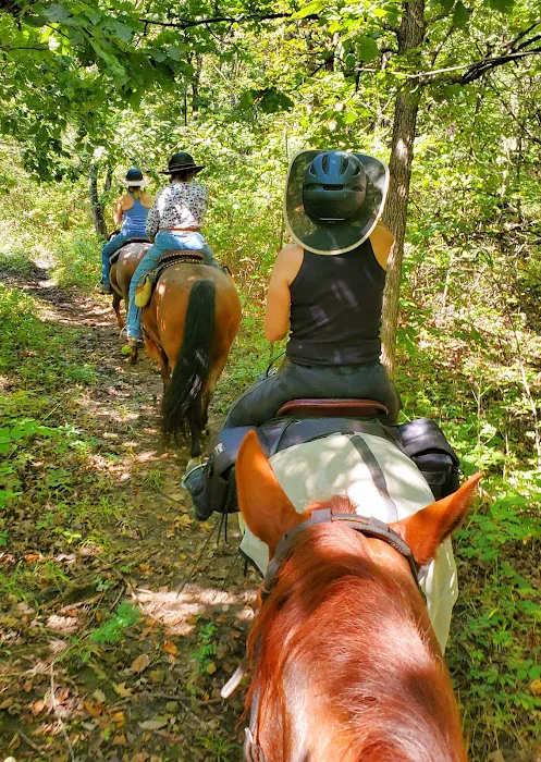 Hillsdale State Park Equestrian Camp Picture 8