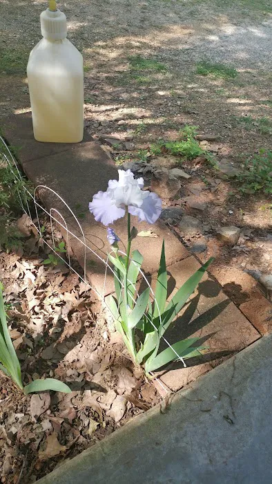 Deer Run RV Park & Campground Picture 2