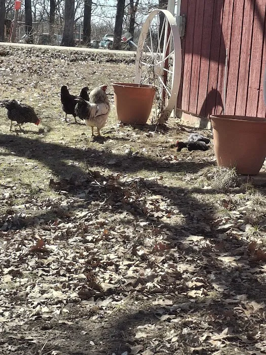 Deer Run RV Park & Campground Picture 6