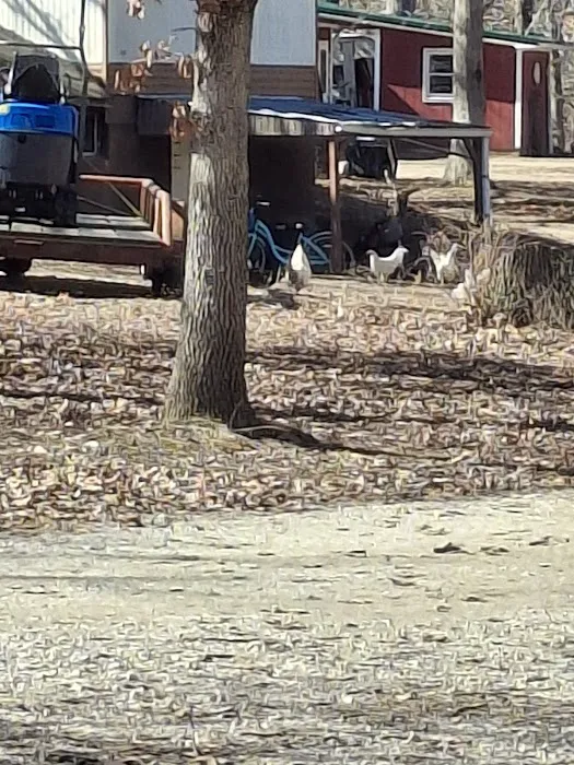 Deer Run RV Park & Campground Picture 4