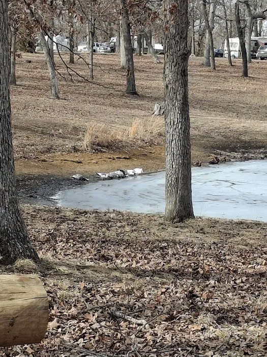 Deer Run RV Park & Campground Picture 8