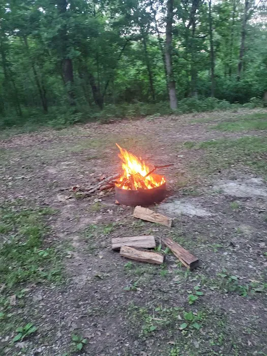 Deer Run RV Park & Campground Picture 7