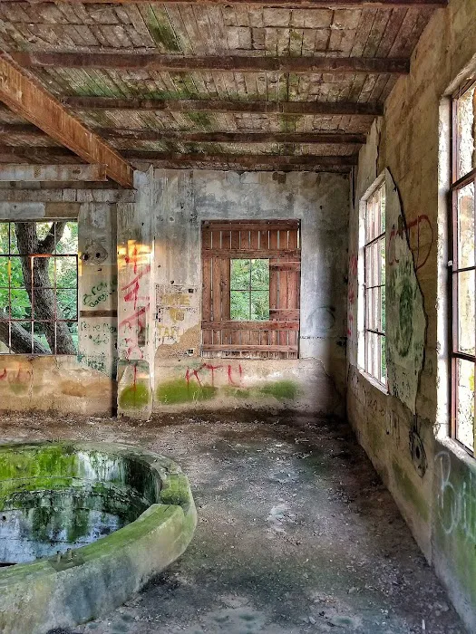 Caplinger Woods RV & Campground Picture 2