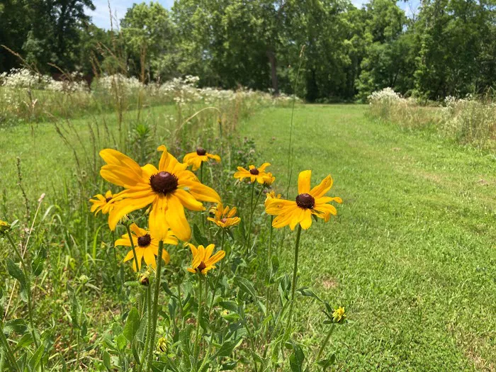 Kimmys At Caplinger Picture 3