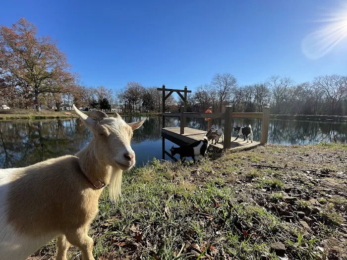 Kimmys At Caplinger Picture 9