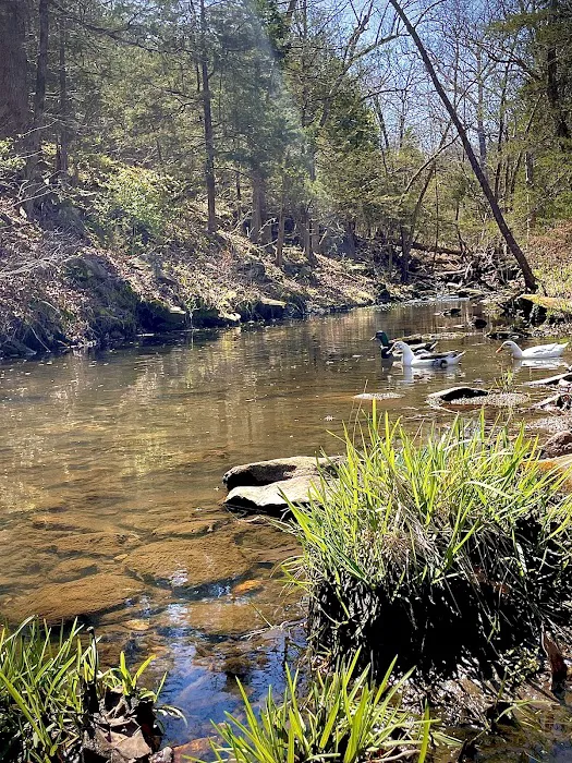 Kimmys At Caplinger Picture 7