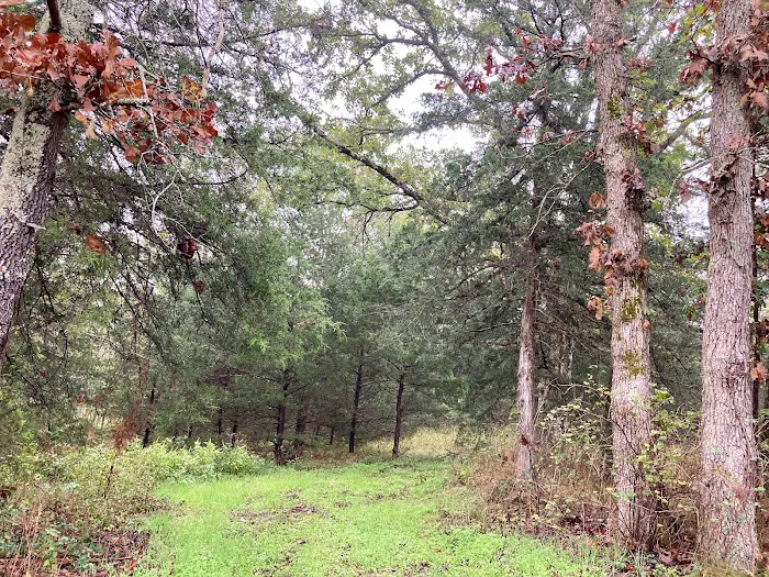 Kimmys At Caplinger Picture 6