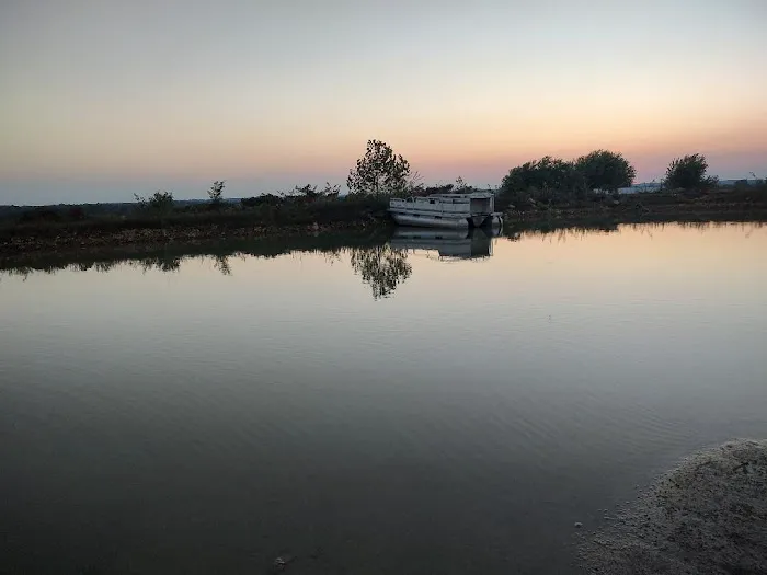 The Happy Camper Picture 3