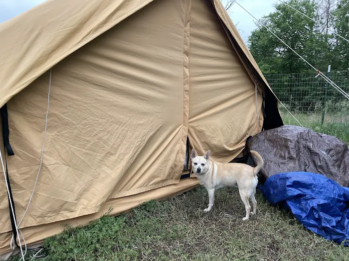 Our Little Grove Picture 6