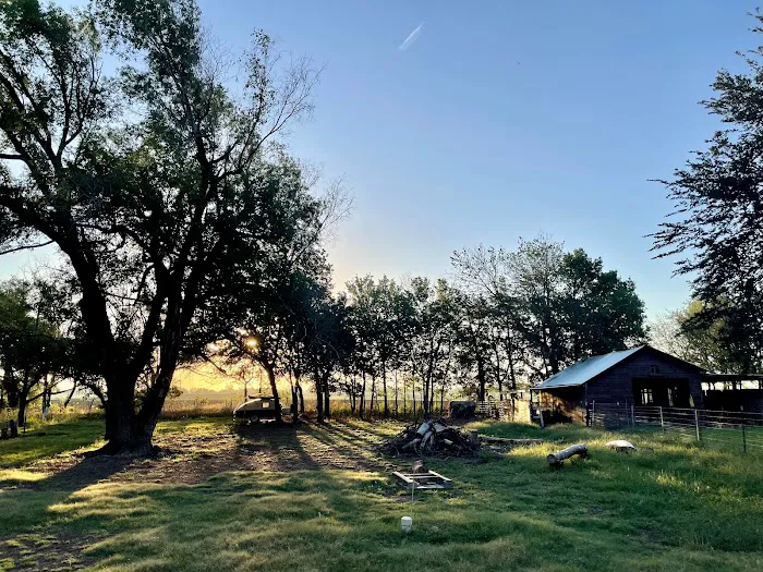 Our Little Grove Picture 4