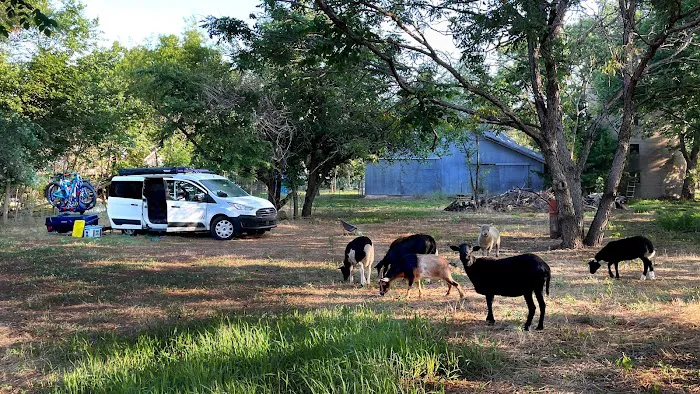 Our Little Grove Picture 5