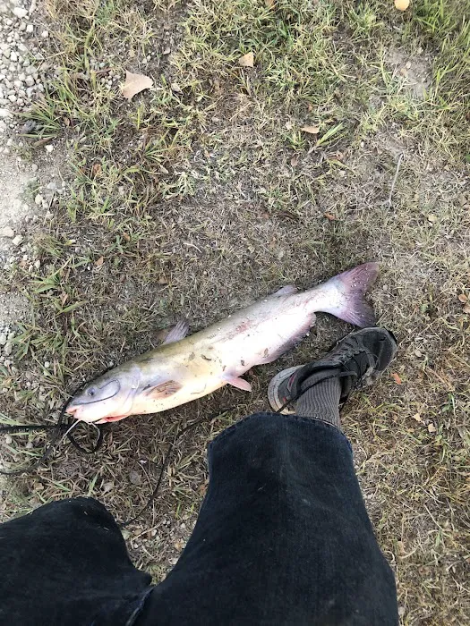 Campground Picture 4