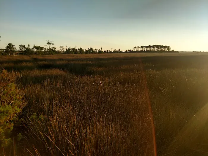 The Refuge on Roanoke Island Picture 5